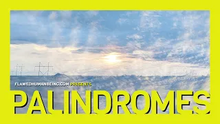 PALINDROMES // My entry for FABC (flipabeatclub) 13. Ableton, SP-404, Bass, Guitar.