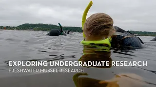 Exploring Undergraduate Research: Freshwater Mussel Research