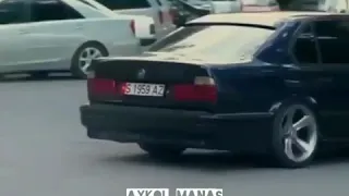 2005 тер алга