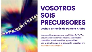 VOSOTROS SOIS PRECURSORES | Una canalización de Jeshua a través de Pamela Kribbe