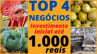 TOP 4 BUSINESS for FARM or BACKYARD for LESS than R$ 1,000.00. Return in 3 months.