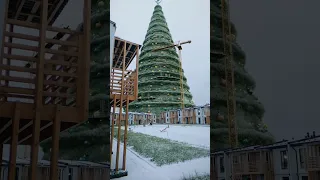 Как создавалась самая большая в мире новогодняя ёлка