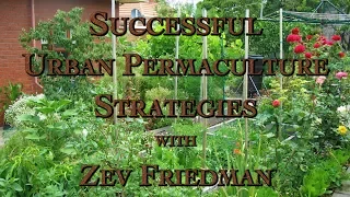 Successful Urban Permaculture Strategies with Zev Friedman