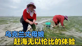 乌克兰丈母娘去海边赶海满载而归，无与伦比的体验！