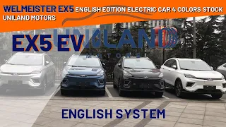 WELMEISTER EX5 ENGLISH EDITION ELECTRIC CAR 4 COLORS STOCK