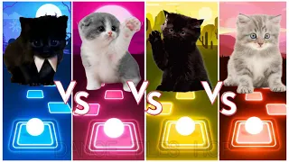 Cute Cats Wednesday Bloody Mary🆚 Lisa Money🆚 Jisoo Flower🆚 Blackpink Ddu-Du Ddu-Du 💥Dance Tiles Hop💥