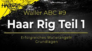 WALLER ABC | Das HAAR RIG Teil 1 | Wallermontage