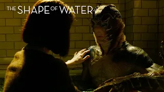 The Shape of Water Full Movie Fact and Story / Hollywood Movie Review in Hindi / Sally Hawkins