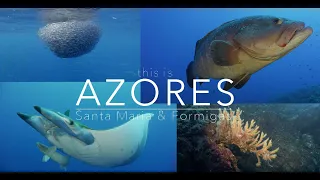 This is Azores - Santa Maria & Formigas