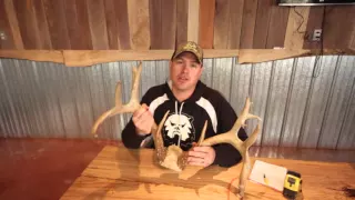 How To Score Deer: Measuring Length of Tines