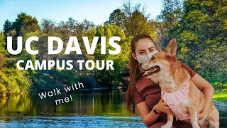 UC Davis Campus Tour for Incoming College Students | University of California Davis 2022-2023