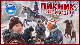 Зимний ПИКНИК с ЛОШАДЬМИ 😱 2х дневный VLOG