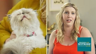 People Who Hate Cats Live With Cats For A Week // Presented By BuzzFeed & Rachael Ray Nutrish