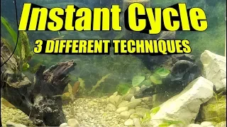 FAST Freshwater Fish Tank Instant Cycle  | 3 BEST Methods for an Aquarium Cycle