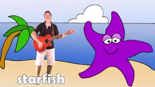 Let's Go To The Beach | Learn Sea Animals