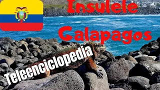 Am aterizat în Insulele Galapagos! Bine ați venit la Teleenciclopedia!