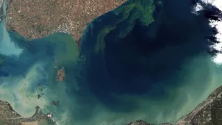 Algal bloom | Wikipedia audio article