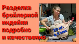 Разделка (обвалка) бройлерного индюка в 20 кг. чистого веса.