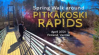 Spring Walk around Pitkäkoski Rapids, April 2021, Finland, Helsinki & Vantaa [4K]