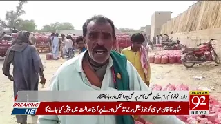 Dadu: Tomatoes Sell In Highly Prices | 21 February 2020 | TSP