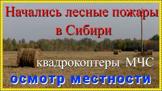 лесные пожары в России Зап.Сибири Омская область Саргатский район  весенний пал обочины дороги