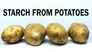 Extracting the starch from potatoes