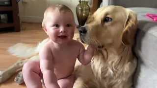 Golden Retriever And Adorable Baby Boy Are The Cutest Ever! (Watch Them Grow Together!!)