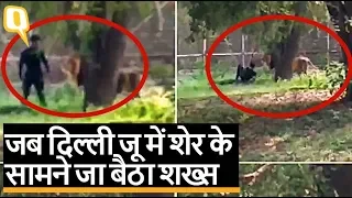 Delhi Zoo में शेर के सामने जा बैठा शख्स, कर्मचारियों ने बचाया | Quint Hindi