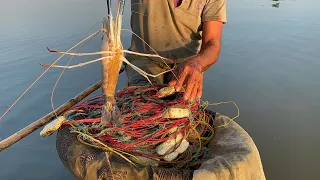 Wow!!!!!Sri lankan 🇱🇰fishing|shrimp 🦐 fishcathing video in lake