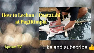 How to Lechon || pagtatahi at pagtitimpla
