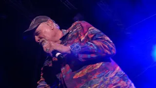 THE BEACH BOYS - "Fun, Fun, Fun" live in Düsseldorf 2. Juli 2019