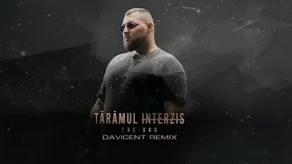 The Urs - Taramul Interzis | Davicent remix