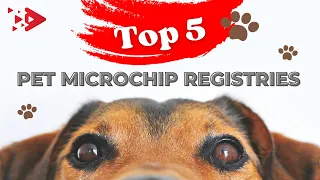 Top 5 pet microchip registries for 2023