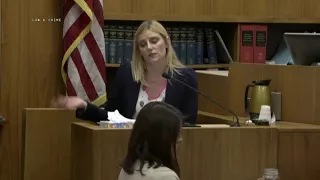 Jason King Trial Day 4 Part 2 Criminalist Chelsea Carter Testifies