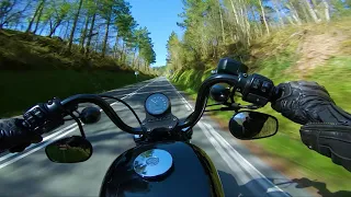 Harley Davidson Iron Onboard [RAW Sound] #2