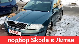 Подобрали Авто в Литве | Skoda | Автотур