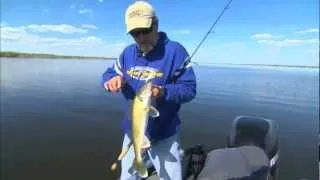 Tips for Catching Walleyes in Shallow Water