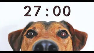 27 Minute Timer for School and Homework - Dog Bark Alarm Sound
