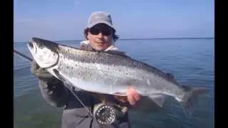 Fliegenfischen auf Meerforelle 2014 - Fly Fishing for Seatrout 2014