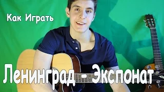 ЛЕНИНГРАД - ЭКСПОНАТ (На Лабутенах) Как играть на Гитаре/ Полный Разбор Песни Экспонат [1 часть]