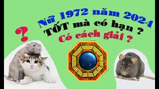 NỮ 1972 NHÂM TÝ TRONG NĂM 2024 CUộC SỐNG NHƯ THế NÀO ? CÓ HẠN NÀO VÀ CÁCH HÓA GIẢI Để BÌNH AN?