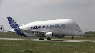 Airbus A300B4-608ST Beluga 4 ► Landing ✈ Hamburg Finkenwerder Airport