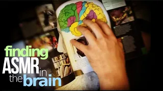 The Human Brain (part 2): Explaining ASMR [science, psychology, anatomy]