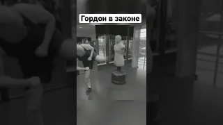 Гордон в законе #гордон