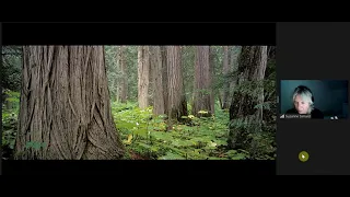 Mother Trees and the Social Forest, with Suzanne Simard