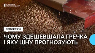 На Кіровоградщині зменшили посівні площі гречки. Яку ціну прогнозують