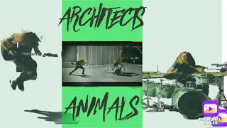 Architects '' Animals ''  Cover + TABS