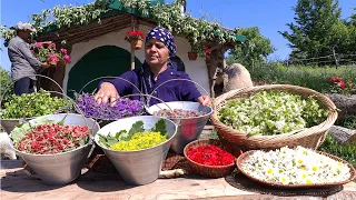 Harvesting and Drying Herbs for Teas and Cooking Easy Spring Dish