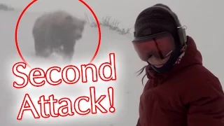 Snowboarder Girl Chased by Bear Update: Second Animal Attack Video!