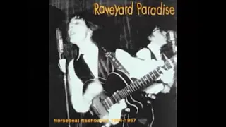 Various ‎– Raveyard Paradise : Norsebeat Flashbacks 1964-67 Norway 60s Garage R&b Rock Pop Music